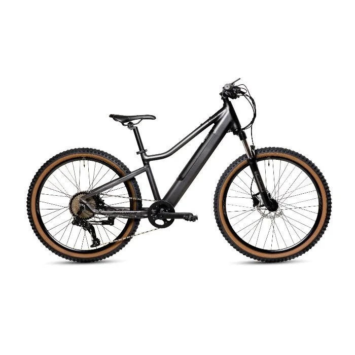 AVALANCHE Luna-E 26" E-Bike