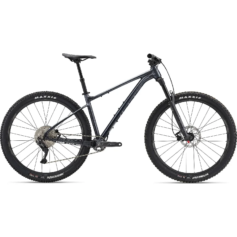 Giant 2023 Fathom 29 2 Mountain Bike