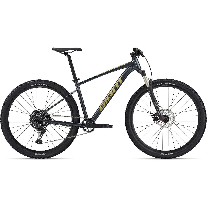 Giant 2024 Talon 29 1 Mountain Bike