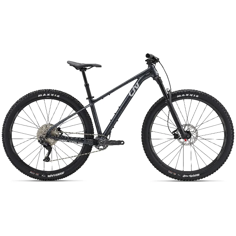 Liv 2023 Lurra 29 2 Mountain Bike