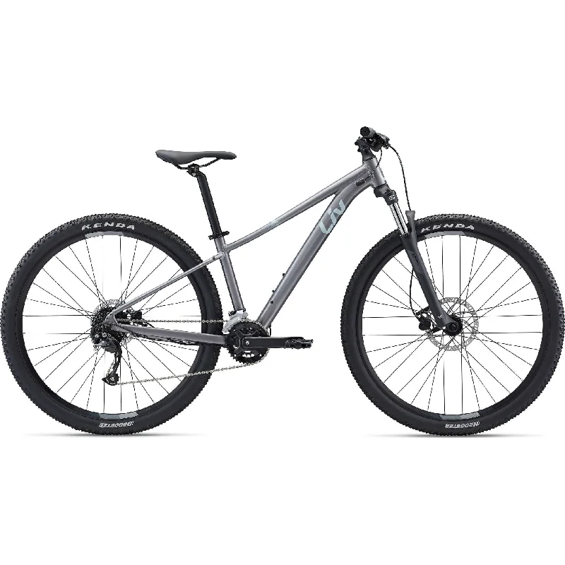 Tempt 2 29er Mountain Bike (2022)