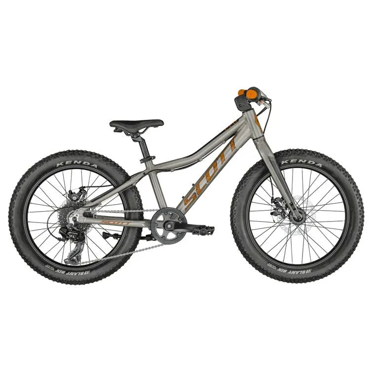 Scott Roxter 20 Silver Kids Bike