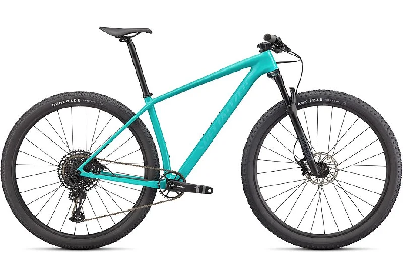 Specialized Epic Hardtail