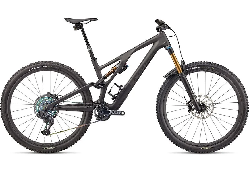 Specialized Stumpjumper Evo Sw